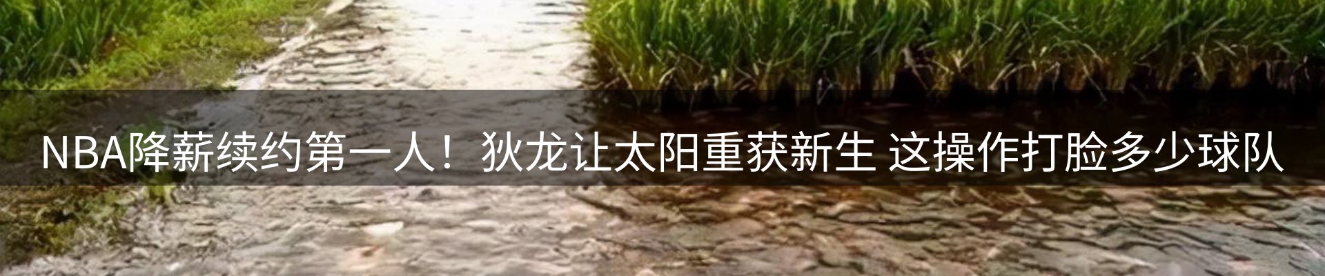 内页banner